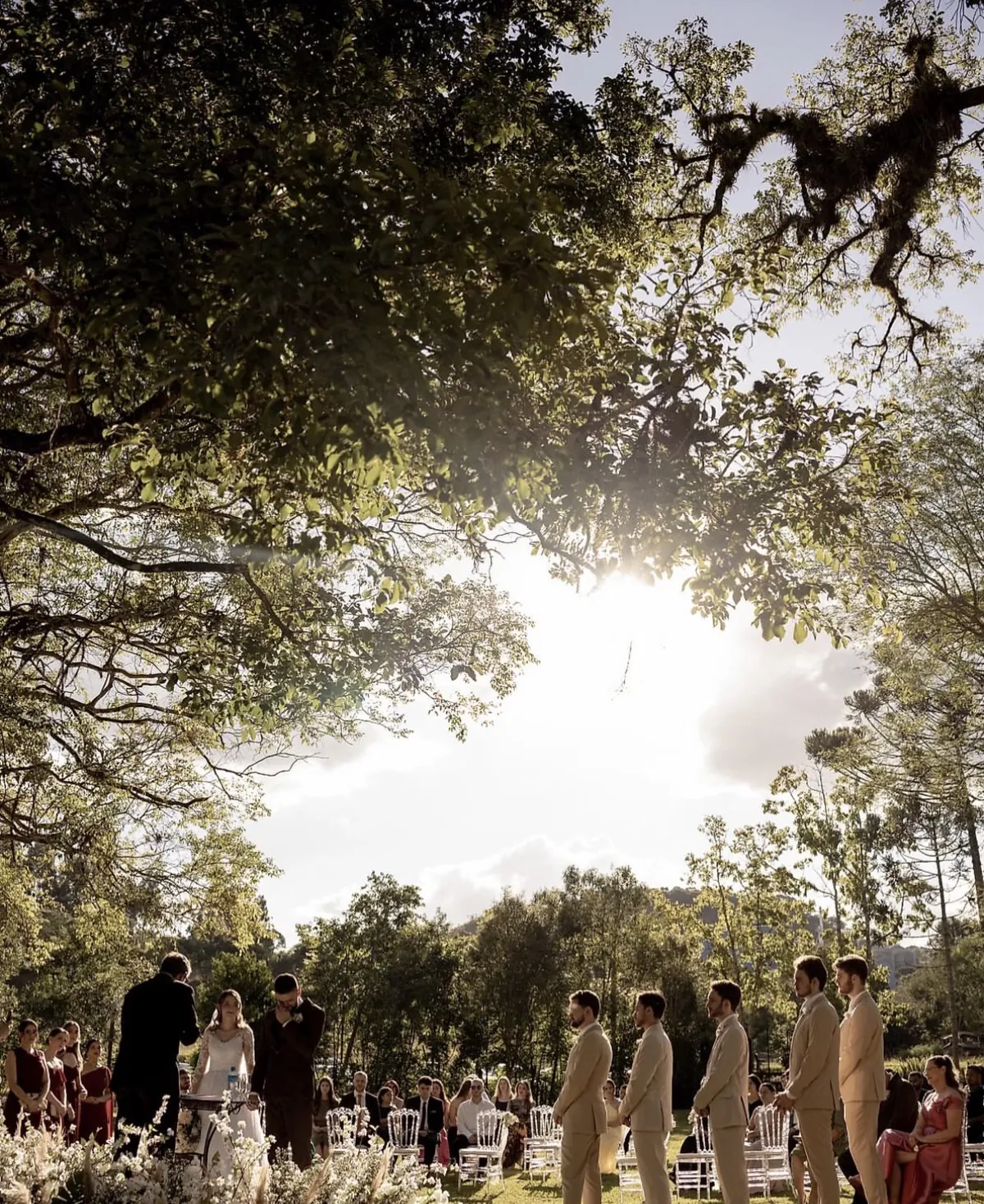 Cerimônia no gramado ao fim da tarde, com o sol atravessando a copa das árvores, noivos no altar florido, padrinhos de terno bege e convidados entre araucárias.
